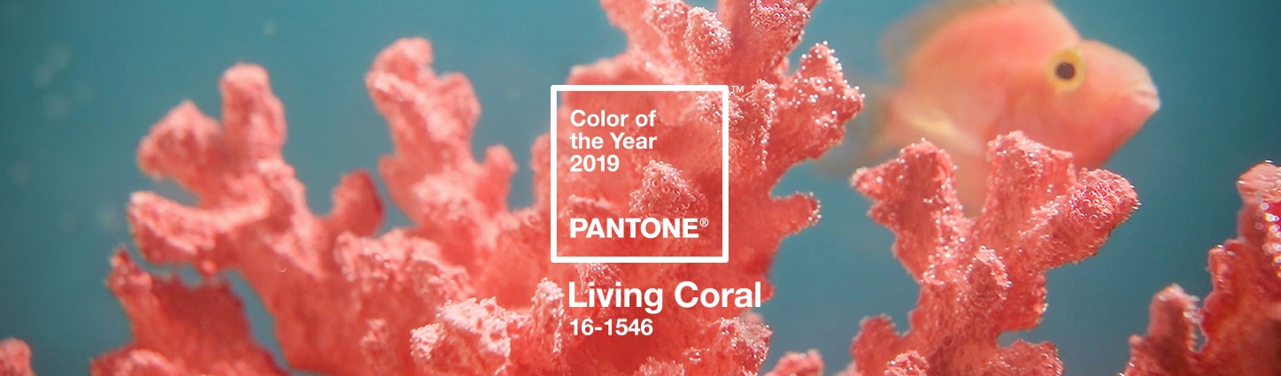 pantone-color-of-the-year-2019-living-coral-banner.jpg