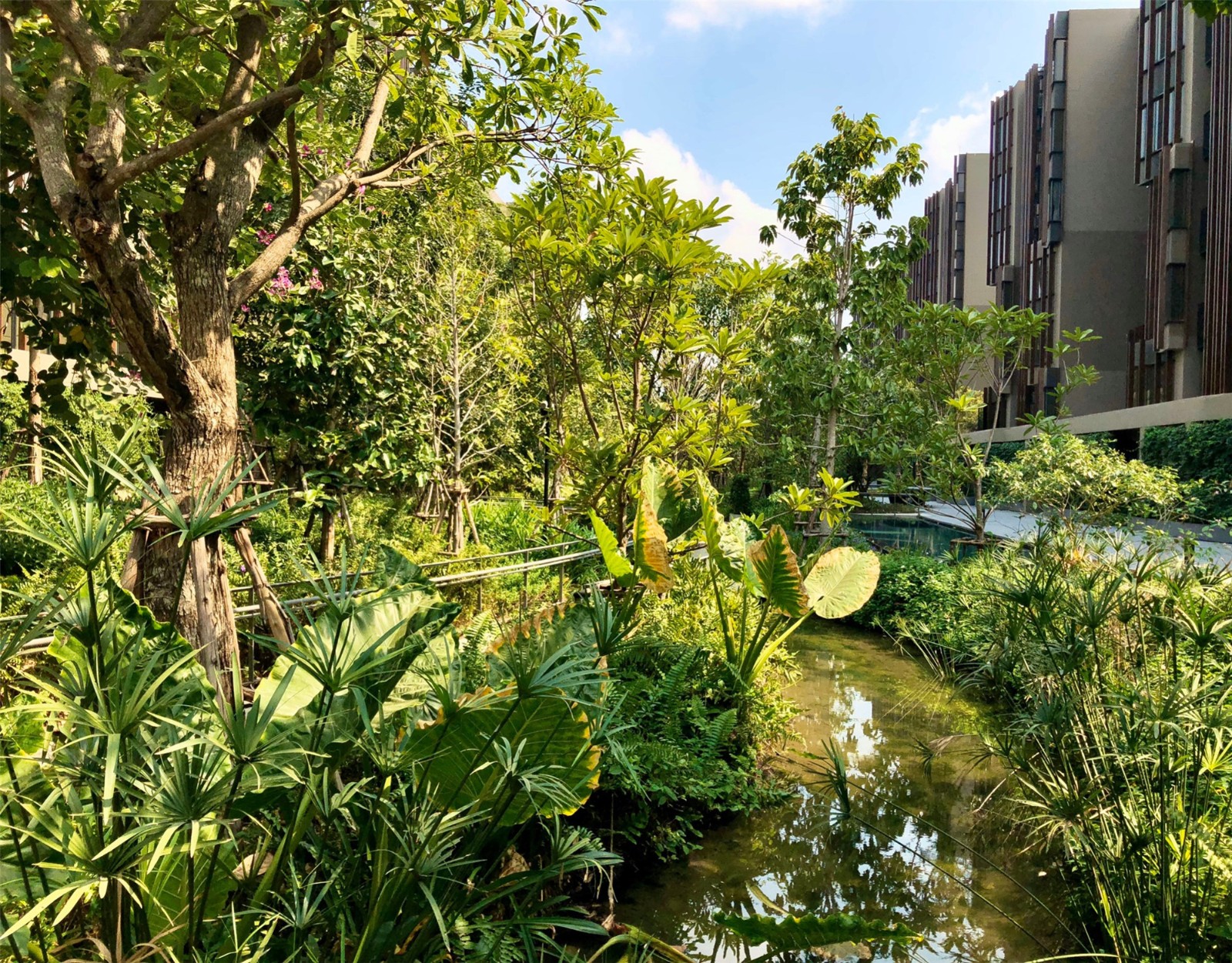 P05_Lush Creek within the landscape.jpg